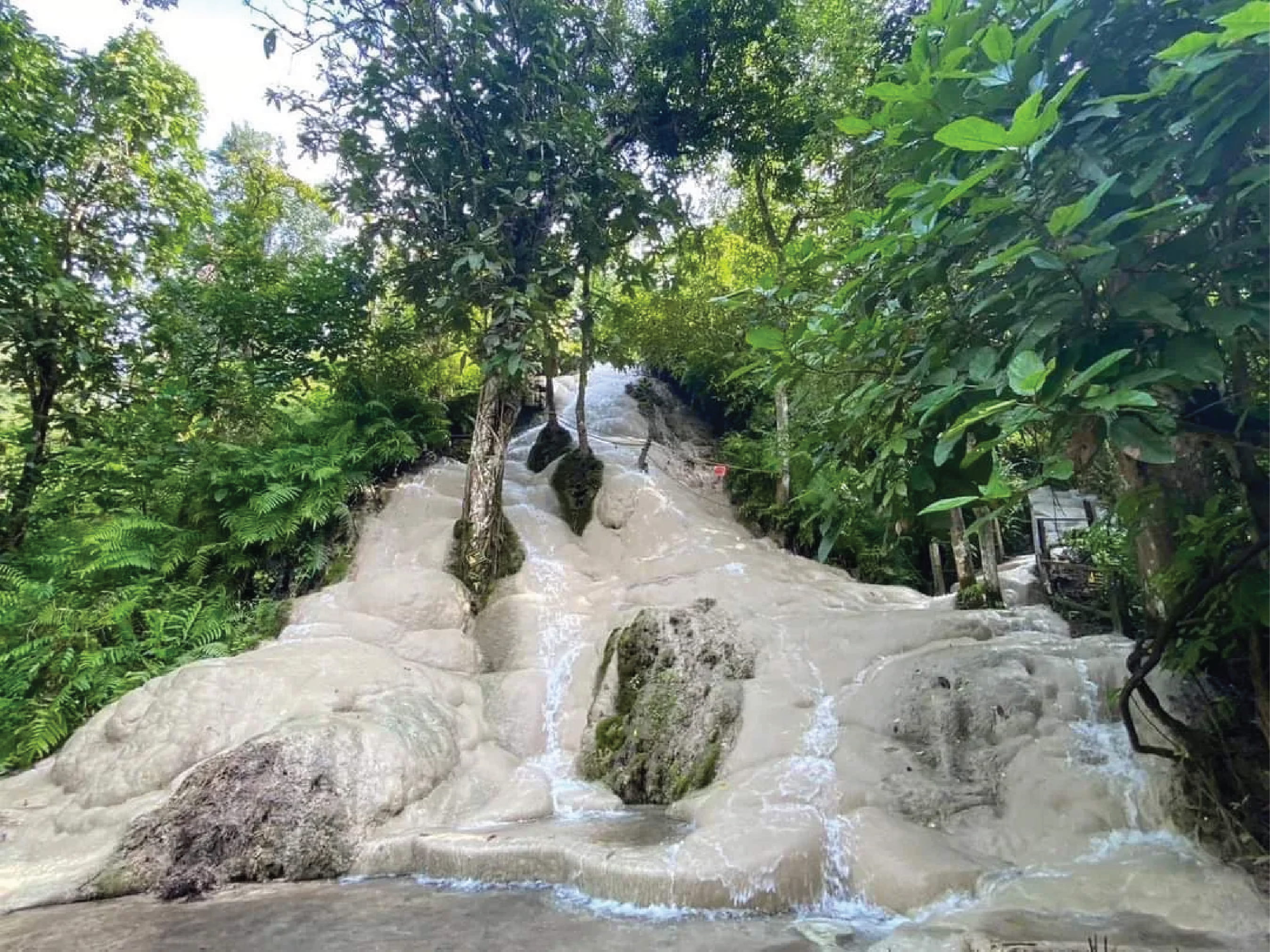 Elephant & Sticky Waterfall Adventure Meets Natural Beauty - Full Day